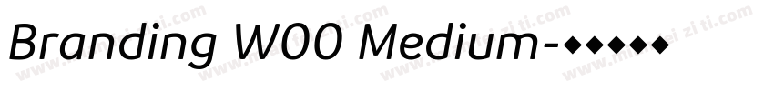 Branding W00 Medium字体转换